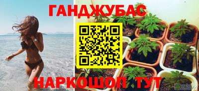 ГАЛЛЮЦИНОГЕННЫЕ ГРИБЫ Гагарин