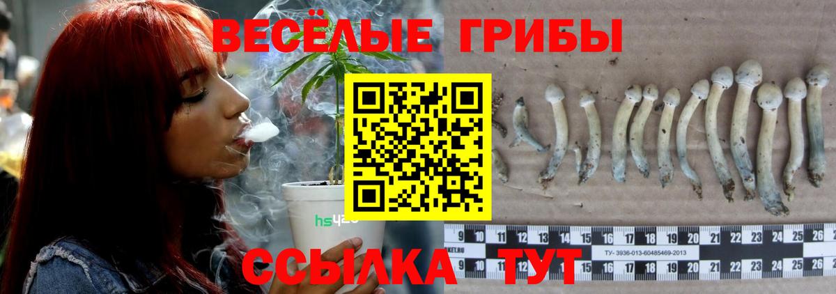 Псилоцибиновые грибы мицелий  купить наркоту  Березники  Вход с VPN  Псилоцибиновые грибы ЛСД 